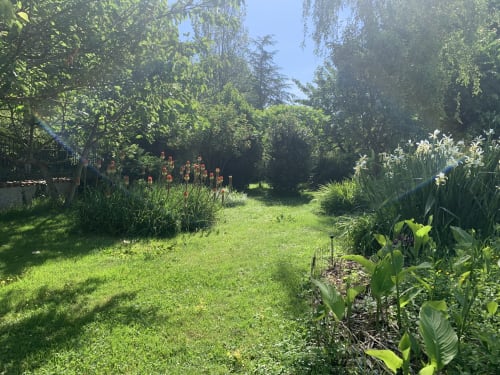 Allée fleurie luxuriante avec plantes en fleurs à la Maison d'Hôtes La Chabanaise dans le Marais Poitevin