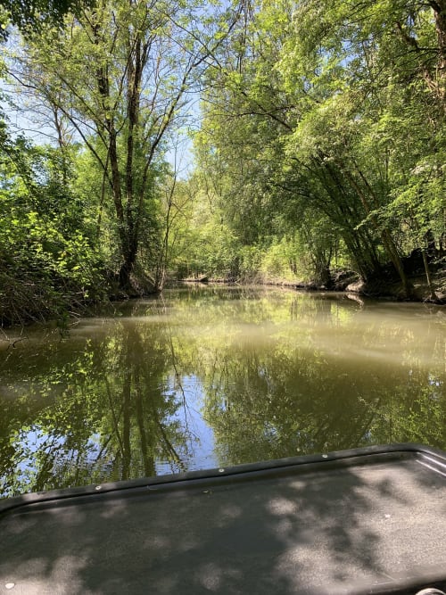Voie d'eau paisible sous la canopée verdoyante de la forêt du Marais Poitevin à Maison d'Hôtes La Chabanaise, France