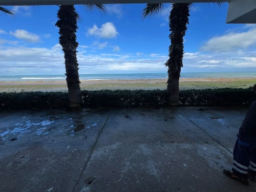 Terrazza di appartamento fronte mare con palme che incorniciano la vista sul mare a Marina di Strongoli