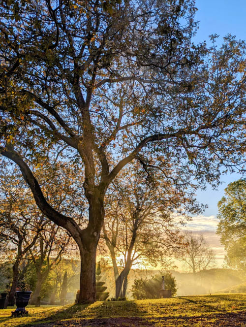 Parc Extérieurs gites auvergne volvic