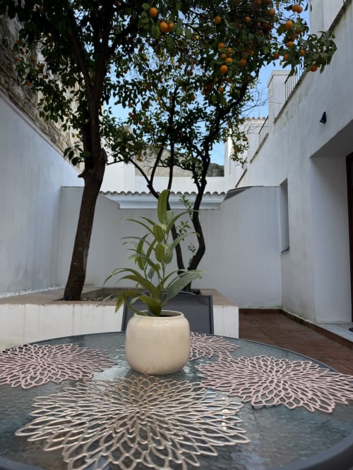 Sereno patio de Wehost Costaluz en Puerto Santa María con planta en maceta, naranjo y piso de azulejos decorativos