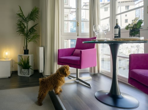 Sala de estar moderna con sillas magenta, mesa negra, plantas en maceta y vistas a la ciudad en suite de hotel de Burgos