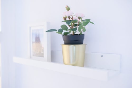 Planta con flores rosadas en maceta sobre estante blanco en apartamento de Barcelona con vista a la ciudad