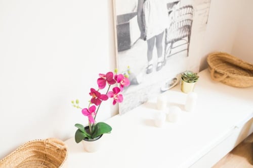 Estante luminoso de apartamento barcelonés con orquídeas rosas, cestas tejidas, planta suculenta y decoración enmarcada en estilo de hogar moderno