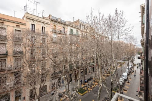 Plaza de Barcelona con árboles desnudos, edificios históricos y vista de paseo arbolado desde el balcón