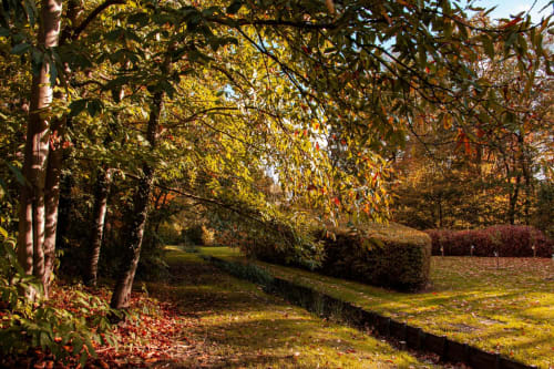 Autumn garden pathway at Castanea Business & Suites in Merelbeke with golden foliage and hedges