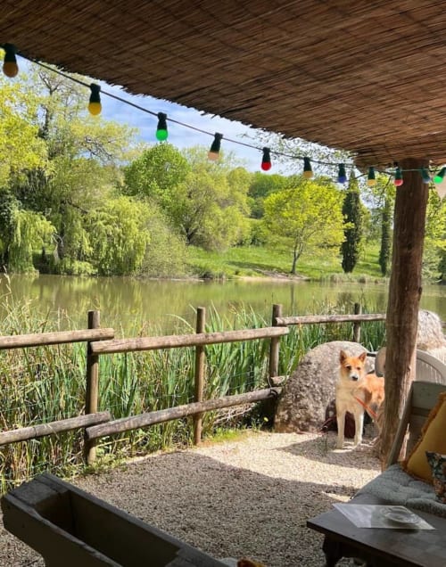 Guinguette au bord d’un étang à Thénon en Dordogne avec vue sur la nature