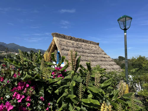 Thatched-roof cottage with magenta flowers at Check Madeira in Ribeira Brava, Portugal