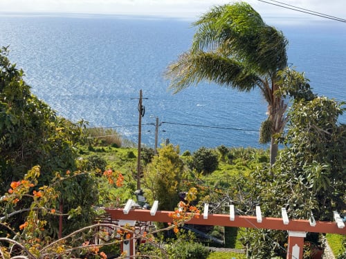 Coastal garden view at Check Madeira in Ribeira Brava with palm tree, flowers, and blue ocean horizon