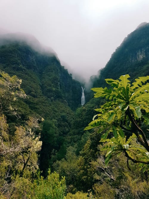 Vale montanhoso envolto em neblina com cascata e vegetação exuberante, Ribeira Brava Madeira