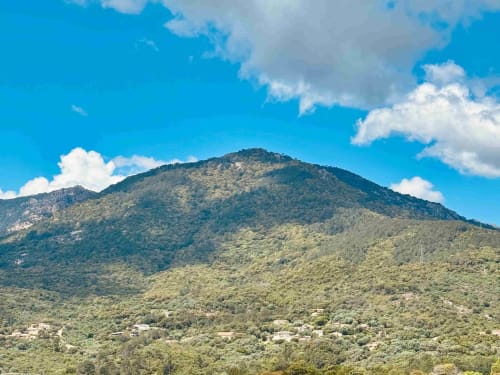 Montagne boisée luxuriante dominant les Villas d'A Storia à Porto-Vecchio, Corse