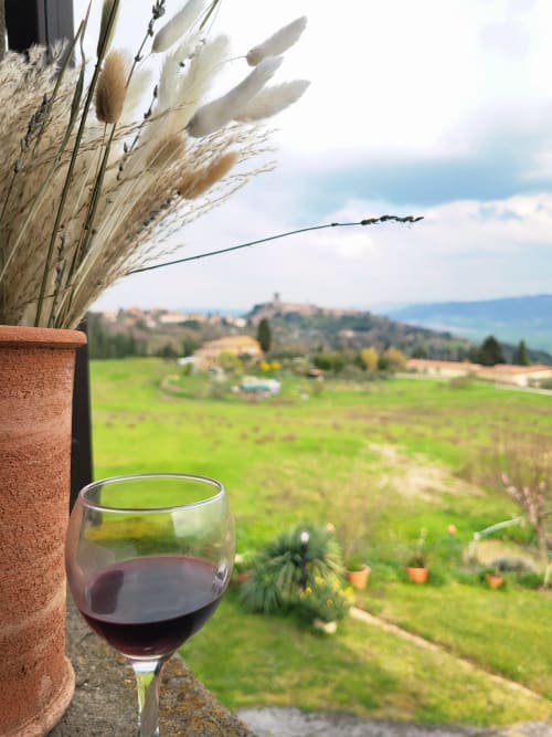 Calice di vino rosso con erbe di pampas con vista sulle colline toscane da I Castagnini, Montecatini Val di Cecina