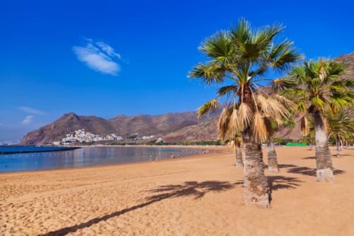 Golden sand beach with palm trees, blue water, and mountains in Costa Adeje, Tenerife