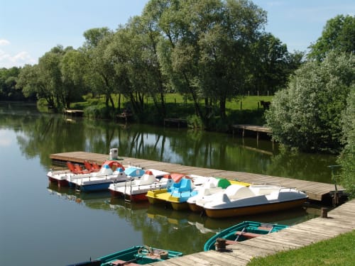 Colorful boats docked at wooden pier on Saône river with green meadows and trees at Domaine Saône Valley, Traves