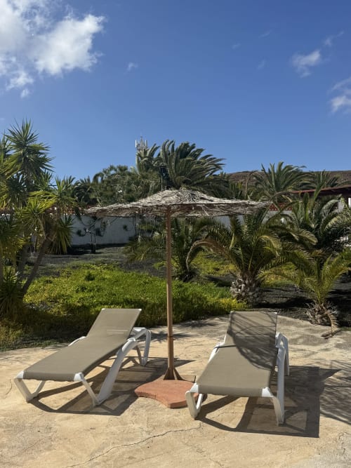 Dos tumbonas con sombrilla de paja en el jardín de la villa Kamalahouse, Corralejo, con palmeras y cielo azul