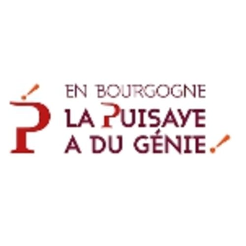 Château de Ribourdin Bourgogne logo with tagline 'La Puisaye a du génie' in burgundy text