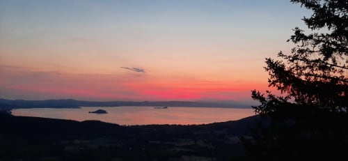 Sunset over Lake Bolsena from Belvedere del Lago, Montefiascone, with silhouetted trees framing the golden sky and calm
