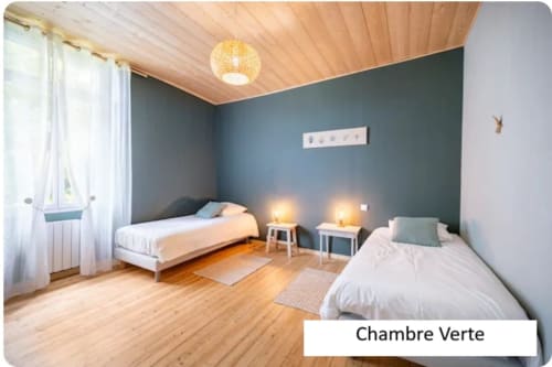 Chambre Verte du gîte De Bigorre à Mauvilla : deux lits, plafond en bois, vue sur le jardin
