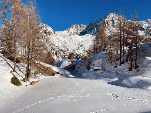 Vallée alpine enneigée avec mélèzes et pics enneigés près de l'Hôtel De La Sage, La Sage Suisse