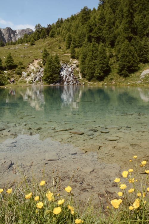 Lac alpin avec fleurs jaunes, forêt et cascade à l'Hôtel De La Sage en Suisse