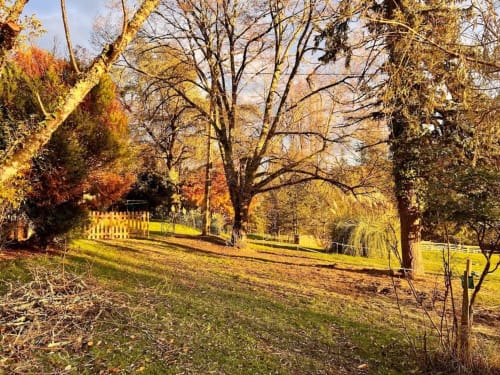 Garden of the estate in Périgord Noir in autumn with trees and peaceful nature