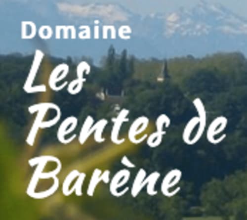 Paysage du vignoble Domaine Les Pentes de Barène avec collines ondulantes et cyprès à Arengosse, France