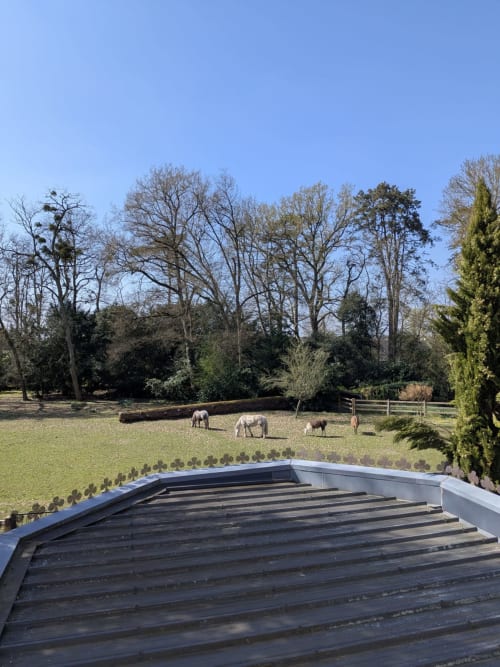 Cavalli al pascolo nei giardini curati del Manoir De La Maison Blanche di Amboise, vista dalla terrazza