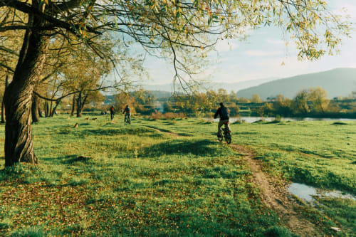 Cyclists and guests enjoying scenic countryside trails near Castanea Business & Suites in Merelbeke, Belgium, with lush green