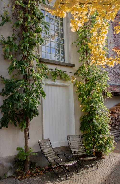 Autumn courtyard seating at Castanea Business & Suites with ivy-covered walls and golden leaves, Merelbeke