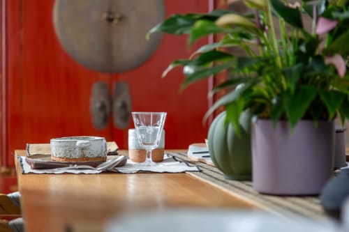 Dining table at Villa Figue Blanche B&B in Montagny-les-Buxy with glasses, plants, and red wall backdrop