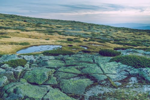 Paisagem de lande com rochas cobertas de musgo perto de Guarda, Portugal na SM Stays Collection