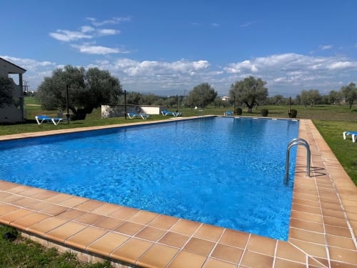 Piscine bleu cristallin avec terrasse en terre cuite à l'appartement Sant Jordi, entourée d'oliviers et de jardins verdoyants