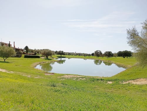 Vue pittoresque du parcours de golf de Sant Jordi avec étang, pelouses verdoyantes, arbres et villa de campagne