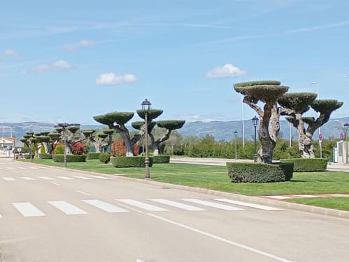 Jardin élégant avec topiaires et allée piétonne à la propriété Home Guardian Services à Sant Jordi, Espagne