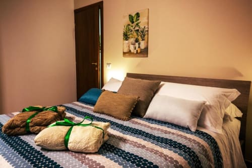 Grecale Room at Torre dei Venti B&B in Ceccano features a bed with cushions, patterned bedding, and potted plants artwork on