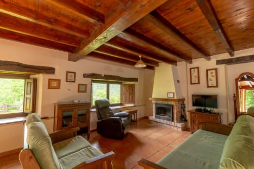 Spacious living room with wooden beams, fireplace, and garden views at Apartamentos Rurales Los Picos De Redo in Camaleño