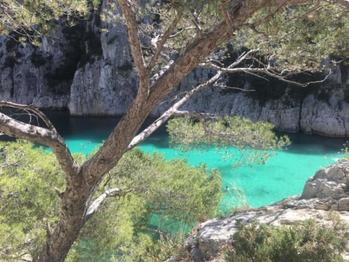 Crique turquoise aux falaises calcaires et pins méditerranéens près du Patio aux Oiseaux, La Ciotat