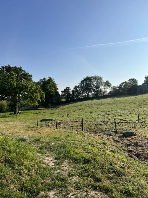 Paysage rural de pâturages verdoyants avec arbres épars et poteaux de bois près de La Millière en Vendée, France