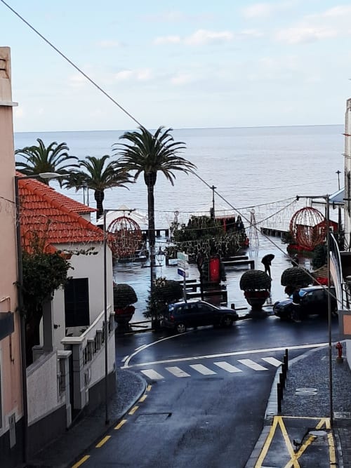 Wet terrace overlooking Câmara de Lobos harbor with palm trees, red-roofed buildings, and calm sea views at Villa Supranee