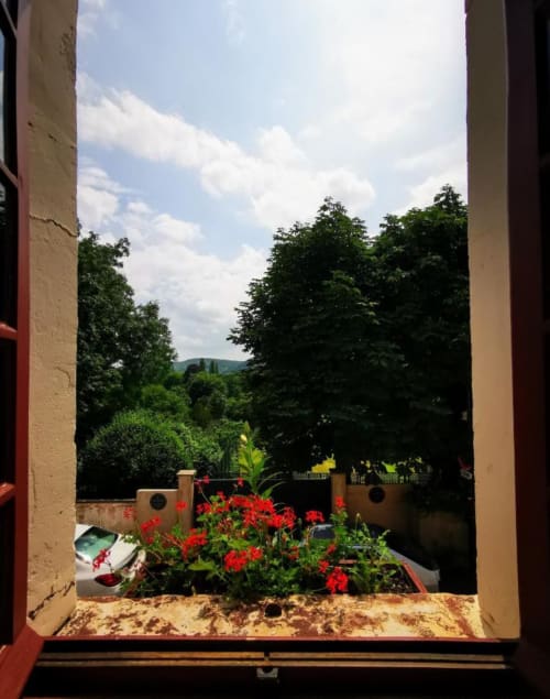 Vue sur le jardin depuis la chambre Le Coin à Le Coin des Artistes B&B, avec fleurs rouges et verdure luxuriante
