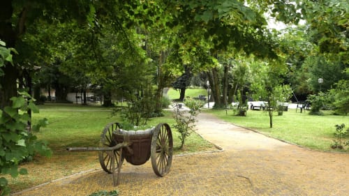 Antico carro su sentiero alberato presso il B&B Bresbot a Bressana, Italia, con giardini rigogliosi e prati verdeggianti