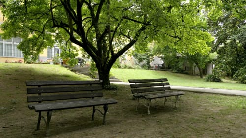 Area relax ombreggiata al Bresbot B&B di Bressana con panchine sotto grandi alberi verdi e prato rigoglioso