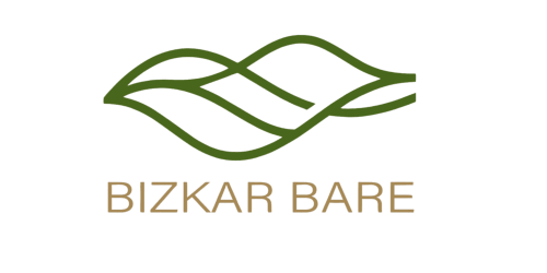 Logo del hotel Bizkar Bare con diseño de hoja verde, hostelería en Vizcaya España