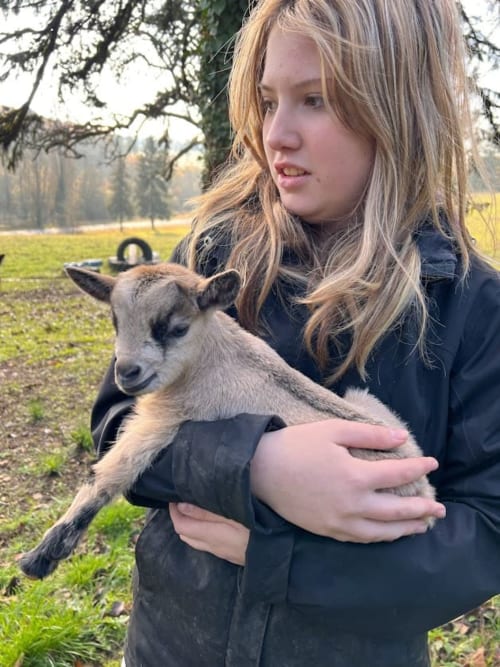 Enfant tenant un chevreau dans un domaine en Dordogne