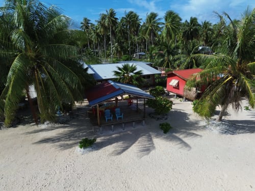 Tikehau Herearii beachfront bungalow with blue canopy, palm trees, and sandy beach in Tuherahera