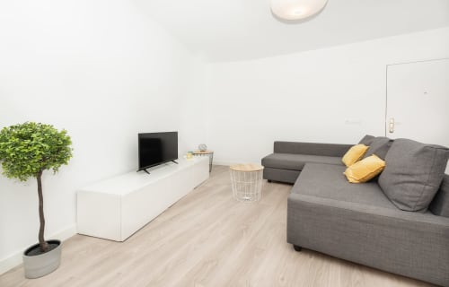 Modern loft living room at Sur Suites Málaga with gray sofa, TV, potted plant, and light wood flooring