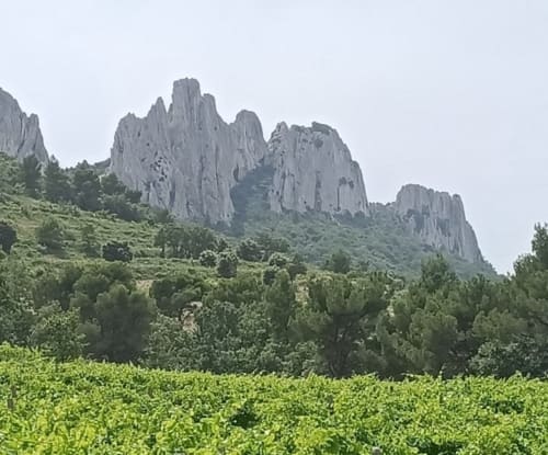 Falaises calcaires spectaculaires dominant les vignobles luxuriants du Domaine de la Méouge à Barret-sur-Méouge, France