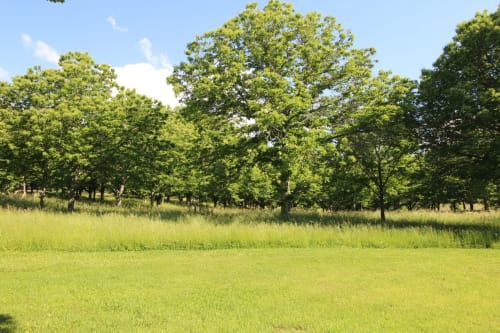 Lush green meadow and tree-lined landscape at Domaine de Bort gîte near Limoges, France