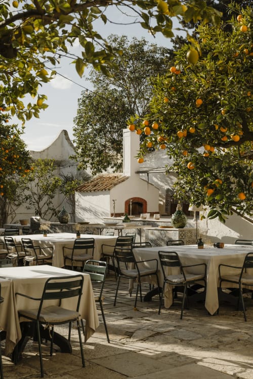 La terrazza esterna di Villa Ceci ad Andria con limoneti, tovaglie bianche e architettura mediterranea