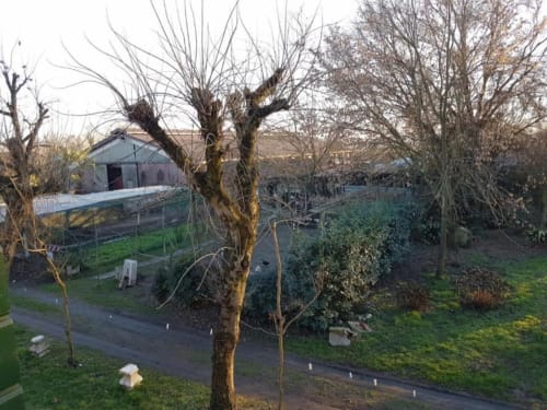 Parco dell'Agriturismo Villa Mocenigo a Mirano con alberi spogli, campi verdi e rustici agricoli